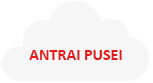 Antrai pusei